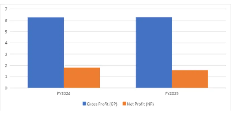 Financial Performance (FY2025 VS FY2024)
